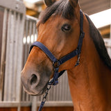 Harcour Hansey Horse Halter with Lead Rope - Harcour USA - Equiluxe Tack