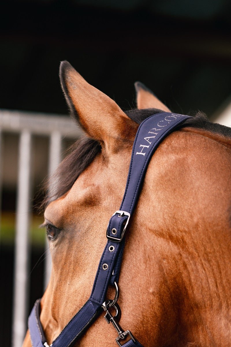 Harcour Hansey Horse Halter with Lead Rope - Harcour USA - Equiluxe Tack