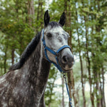 Harcour Hansey Horse Halter with Lead Rope - Harcour USA - Equiluxe Tack