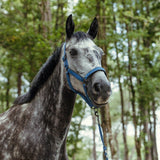 Harcour Hansey Horse Halter with Lead Rope - Harcour USA - Equiluxe Tack