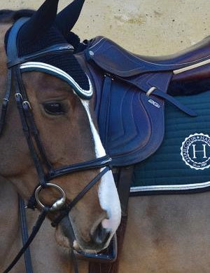 Harcour Indiana Saddle Pad CSO & West Fly Veil Set - Harcour USA - Equiluxe Tack
