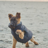 Harcour Janari Reversible Dog Puffer Coats - Harcour USA - Equiluxe Tack