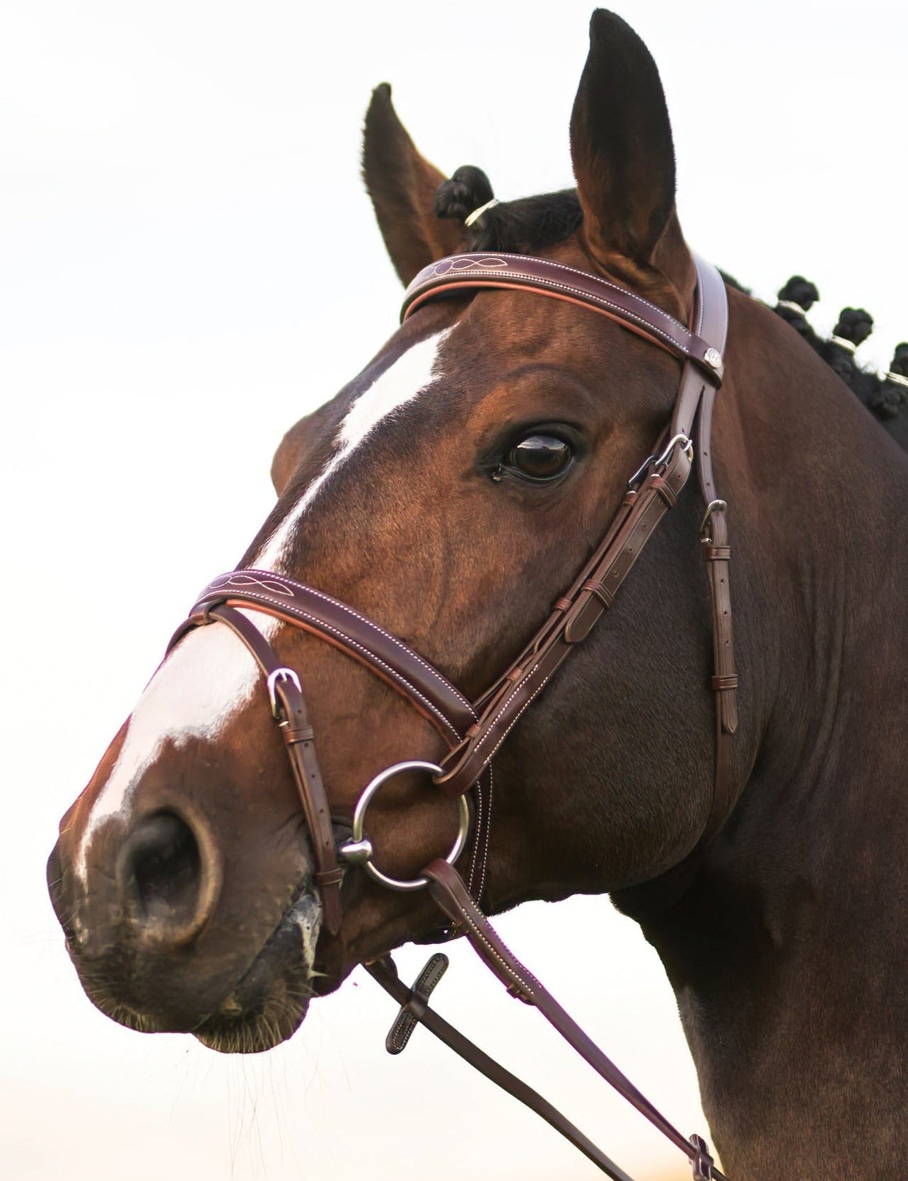 Harcour Kendall Bridle & Reins set - Harcour USA - Equiluxe Tack