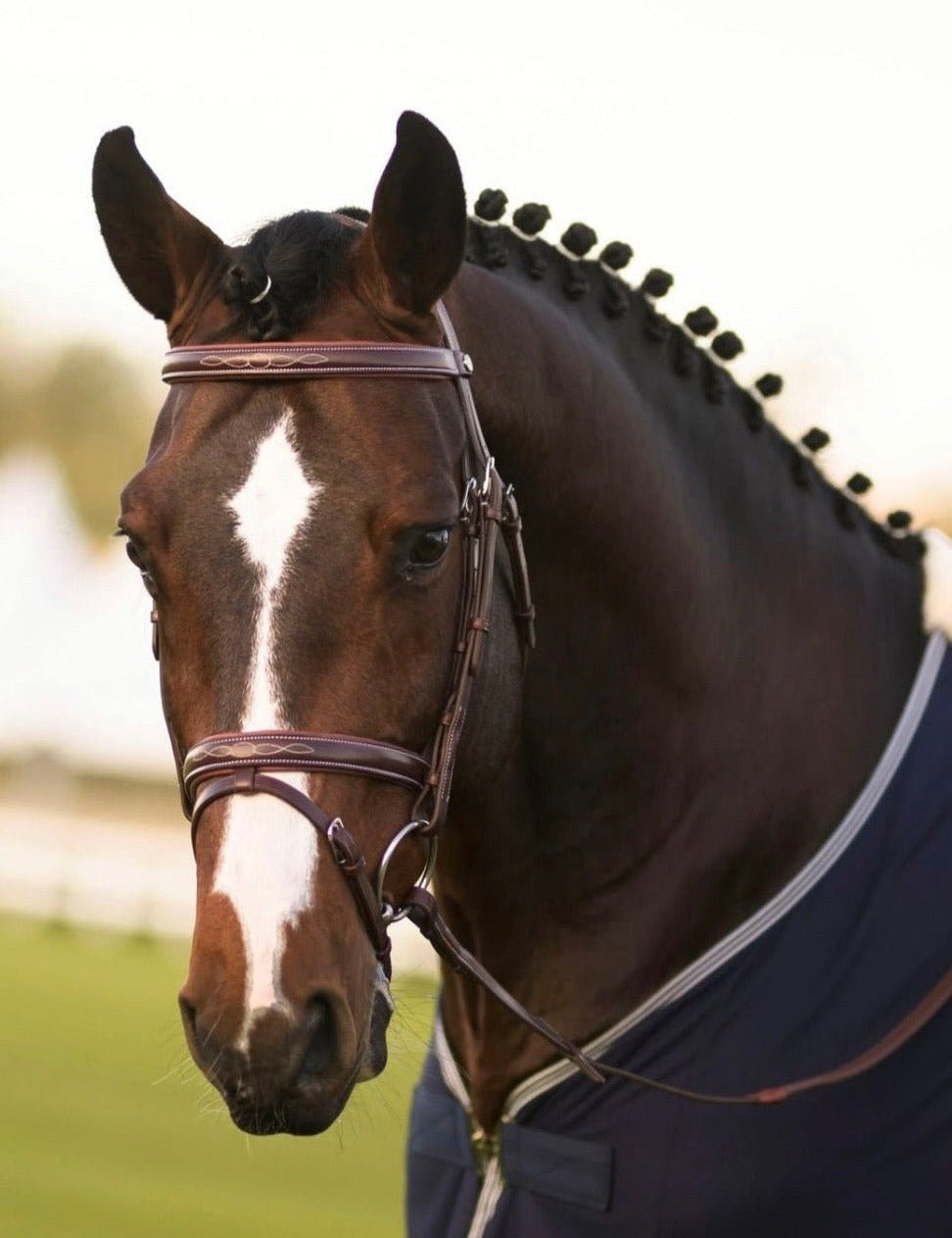Harcour Kendall Bridle & Reins set - Harcour USA - Equiluxe Tack