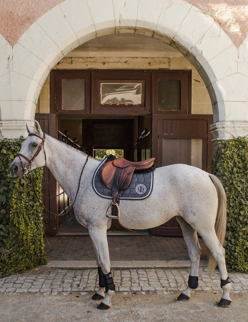 Harcour Spice CSO Saddle Pad - Harcour USA - Equiluxe Tack