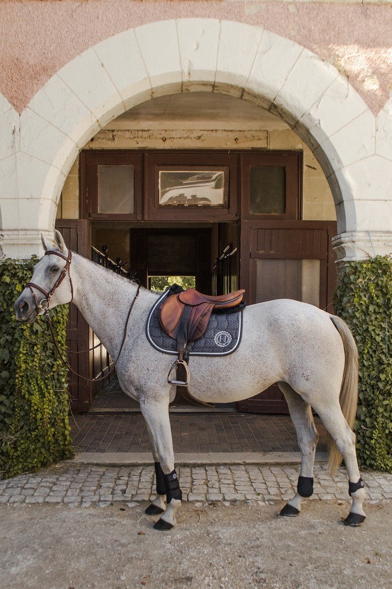 Harcour Spice CSO Saddle Pad - Harcour USA - Equiluxe Tack