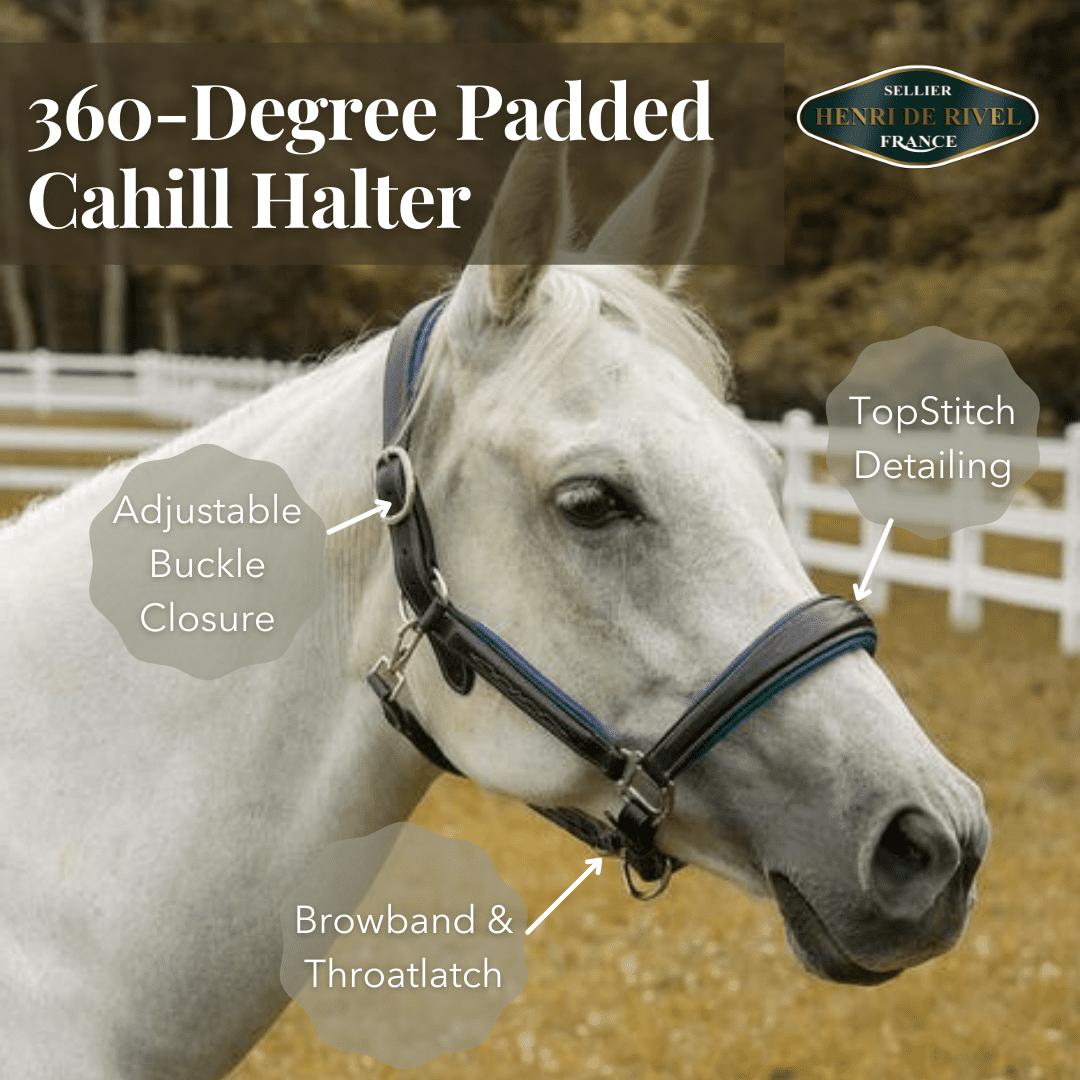 Henri De Rivel 360 - Degree Padded Cahill Halter - Henri de Rivel - Equiluxe Tack