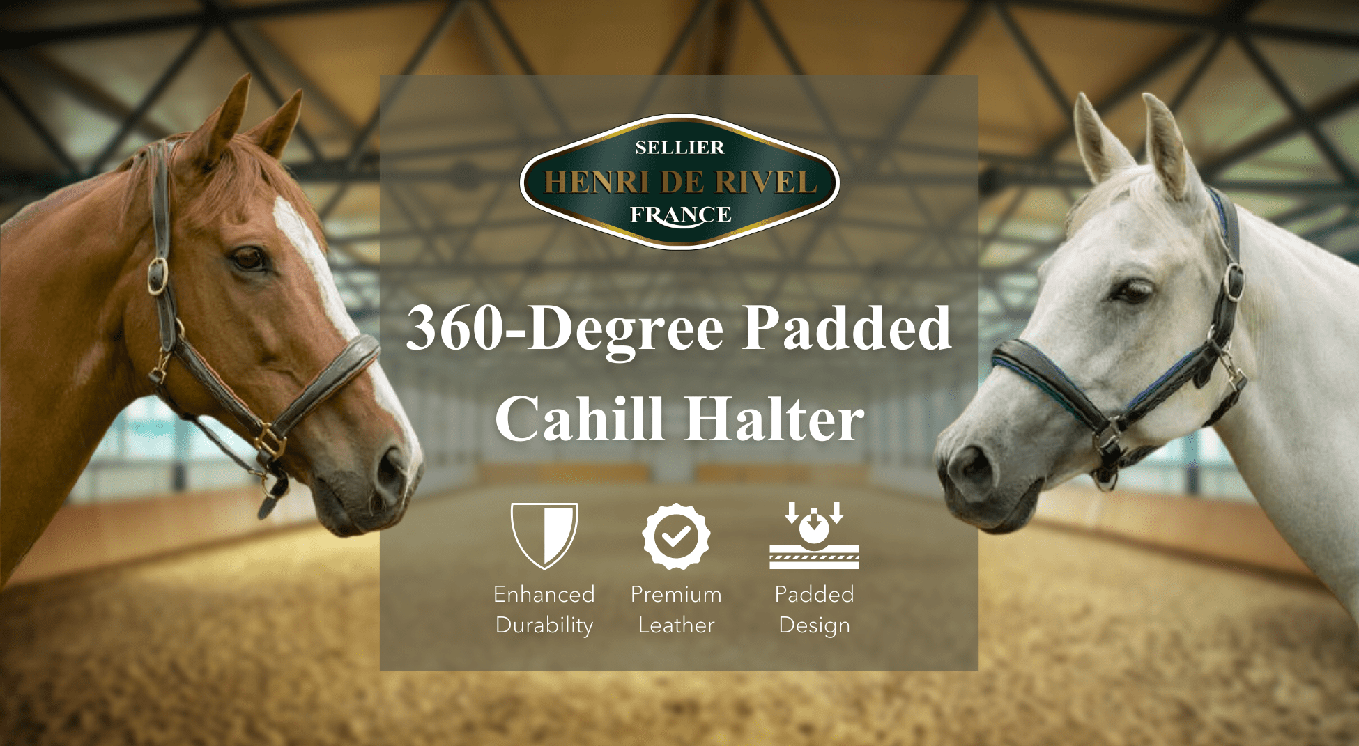Henri De Rivel 360 - Degree Padded Cahill Halter - Henri de Rivel - Equiluxe Tack
