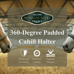 Henri De Rivel 360 - Degree Padded Cahill Halter - Henri de Rivel - Equiluxe Tack