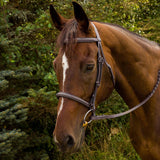 Henri de Rivel Advantage Fancy Raised Padded Bridle With Laced Reins - Henri de Rivel - Equiluxe Tack