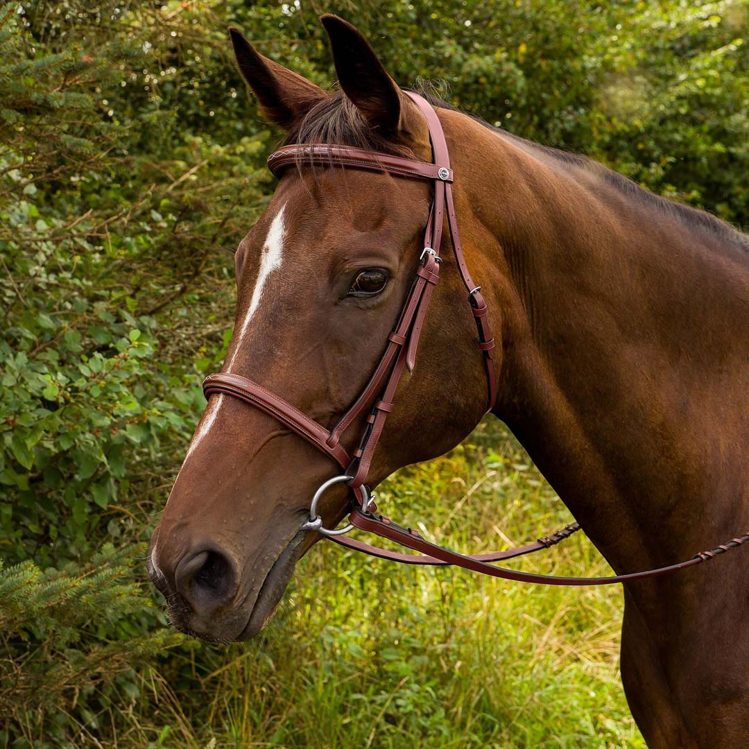 Henri de Rivel Advantage Fancy Raised Padded Bridle With Laced Reins - Henri de Rivel - Equiluxe Tack