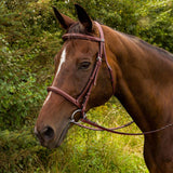 Henri de Rivel Advantage Fancy Raised Padded Bridle With Laced Reins - Henri de Rivel - Equiluxe Tack
