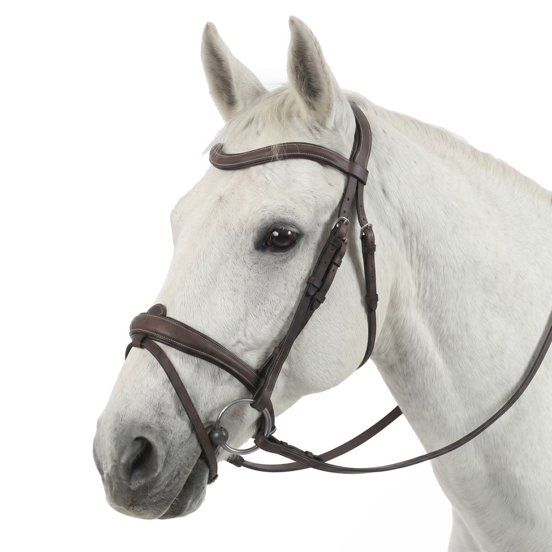 Henri de Rivel Americana Padded Anatomical Bridle with Reins - Breeches.com - Equiluxe Tack