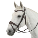 Henri de Rivel Americana Padded Anatomical Bridle with Reins - Breeches.com - Equiluxe Tack