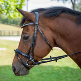 Henri de Rivel Diamonte Dressage Bridle - Henri de Rivel - Equiluxe Tack