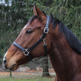 Henri de Rivel Everyday Halter - Henri de Rivel - Equiluxe Tack