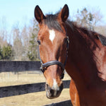 Henri de Rivel Kushy Halter - Henri de Rivel - Equiluxe Tack