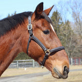 Henri de Rivel Kushy Halter - Henri de Rivel - Equiluxe Tack