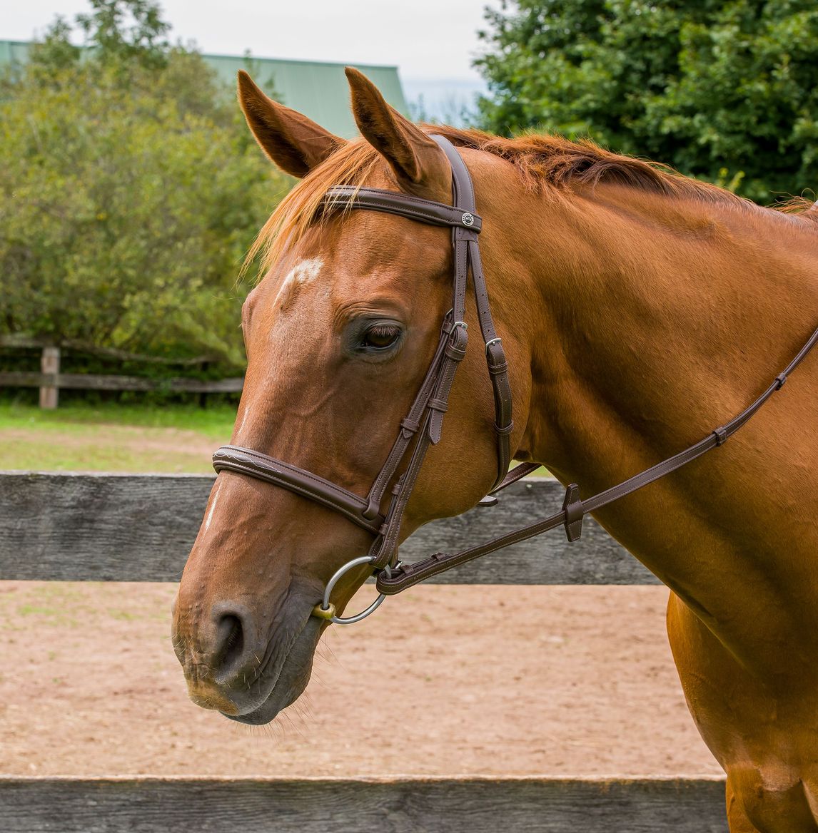 Henri de Rivel Kushy Raised Fancy Stitched Bridle - Henri de Rivel - Equiluxe Tack