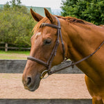 Henri de Rivel Kushy Raised Fancy Stitched Bridle - Henri de Rivel - Equiluxe Tack