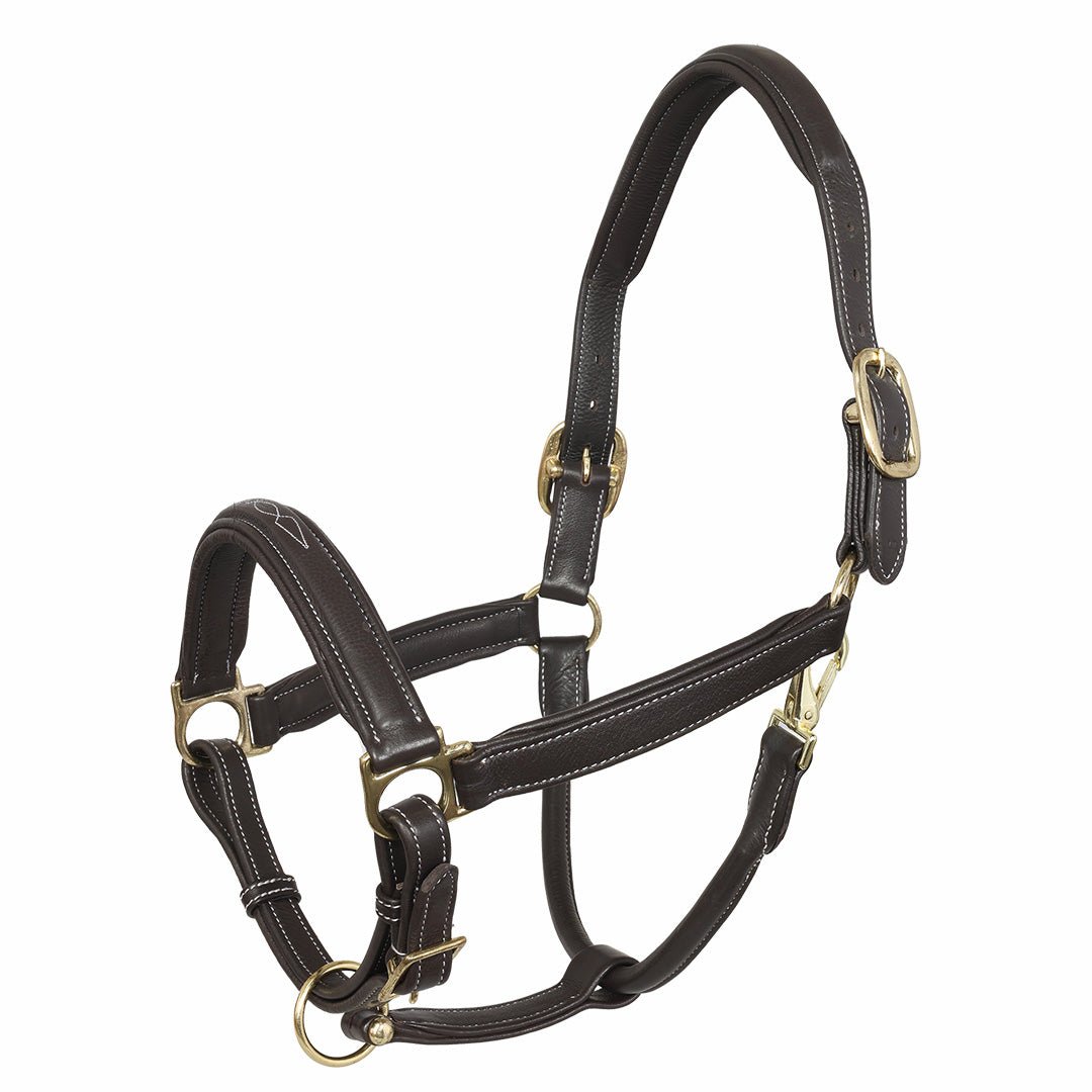 Henri de Rivel Laureate Fancy Stitched Grippy Leather Halter with Brass Fittings - Henri de Rivel - Equiluxe Tack