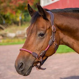 Henri de Rivel Leather Rope Halter - Henri de Rivel - Equiluxe Tack