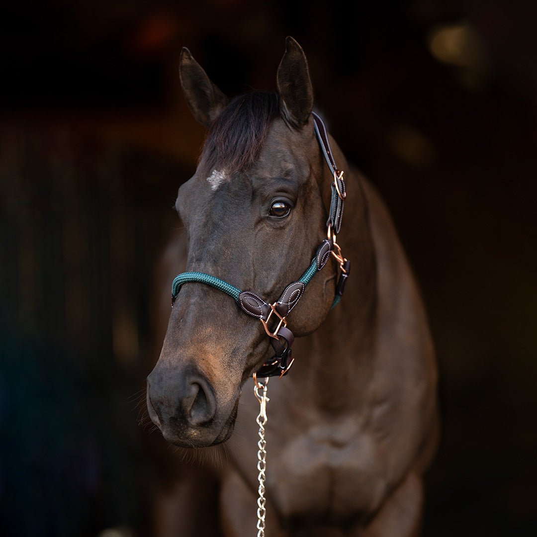 Henri de Rivel Leather Rope Halter - Henri de Rivel - Equiluxe Tack