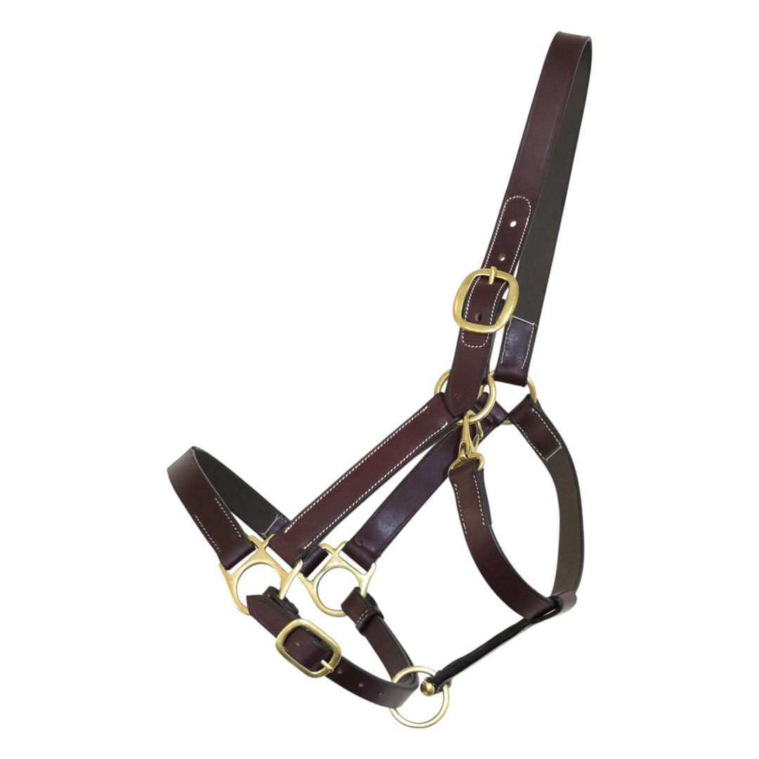 Henri de Rivel Leather Turnout Halters With Snap - Henri de Rivel - Equiluxe Tack