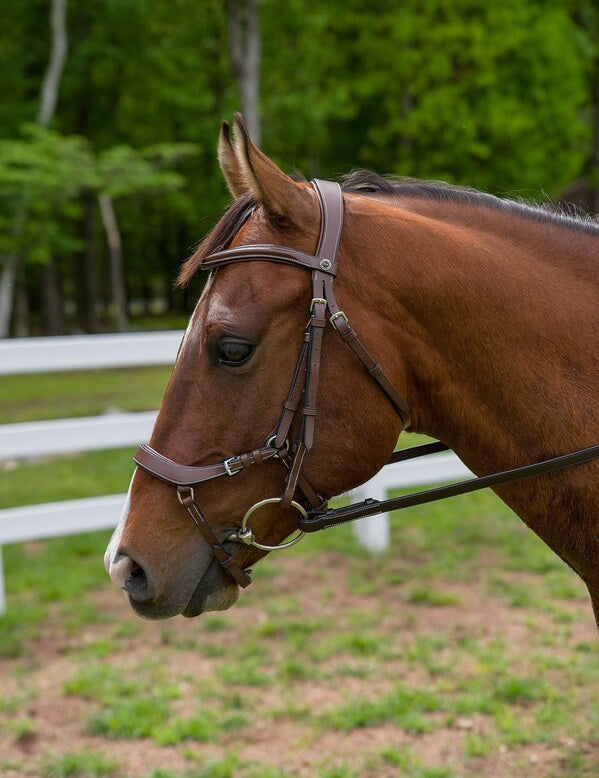 Henri de Rivel Pro Anatomical Bridle - Henri de Rivel - Equiluxe Tack