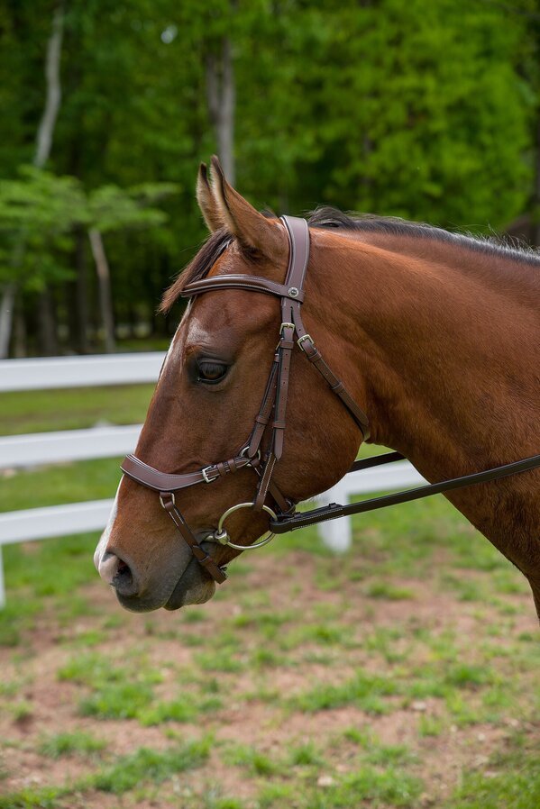 Henri de Rivel Pro Anatomical Bridle - Henri de Rivel - Equiluxe Tack
