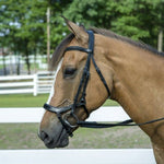 Henri de Rivel Pro Anatomical Bridle - Henri de Rivel - Equiluxe Tack