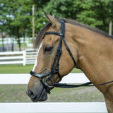 Henri de Rivel Pro Anatomical Bridle - Henri de Rivel - Equiluxe Tack