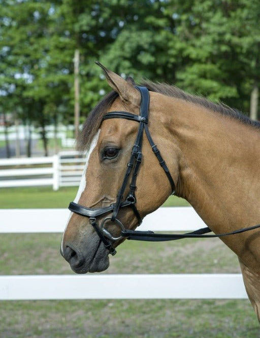 Henri de Rivel Pro Anatomical Bridle - Henri de Rivel - Equiluxe Tack