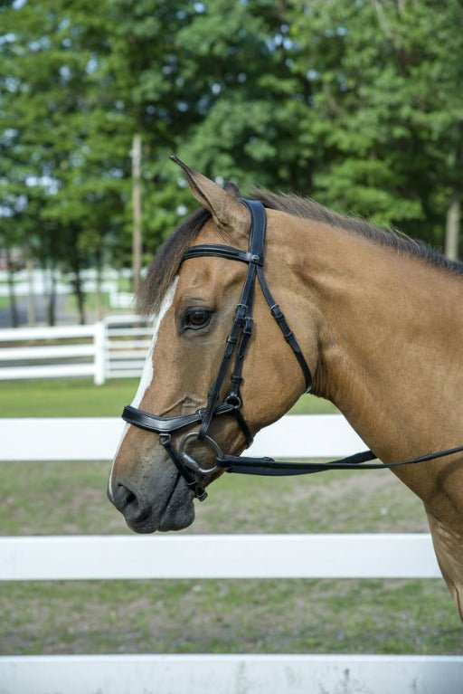 Henri de Rivel Pro Anatomical Bridle - Henri de Rivel - Equiluxe Tack