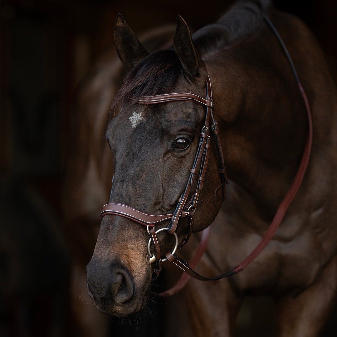 Henri de Rivel Pro Anatomical Bridle - Henri de Rivel - Equiluxe Tack