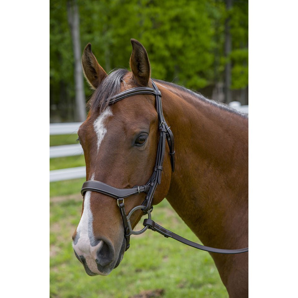 Henri de Rivel Pro Anatomical Bridle - Henri de Rivel - Equiluxe Tack