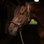 Henri de Rivel Pro Collection Leather Lead with 24" Solid Brass Chain - Henri de Rivel - Equiluxe Tack
