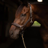 Henri de Rivel Pro Collection Leather Lead with 24" Solid Brass Chain - Henri de Rivel - Equiluxe Tack