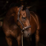 Henri de Rivel Pro Collection Leather Lead with 24" Solid Brass Chain - Henri de Rivel - Equiluxe Tack