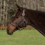 Henri de Rivel Pro Fancy Padded Rolled Throat Triple Stitched Halter - Henri de Rivel - Equiluxe Tack