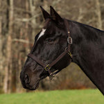 Henri de Rivel Pro Fancy Padded Rolled Throat Triple Stitched Halter - Henri de Rivel - Equiluxe Tack