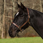 Henri de Rivel Pro Fancy Padded Rolled Throat Triple Stitched Halter - Henri de Rivel - Equiluxe Tack