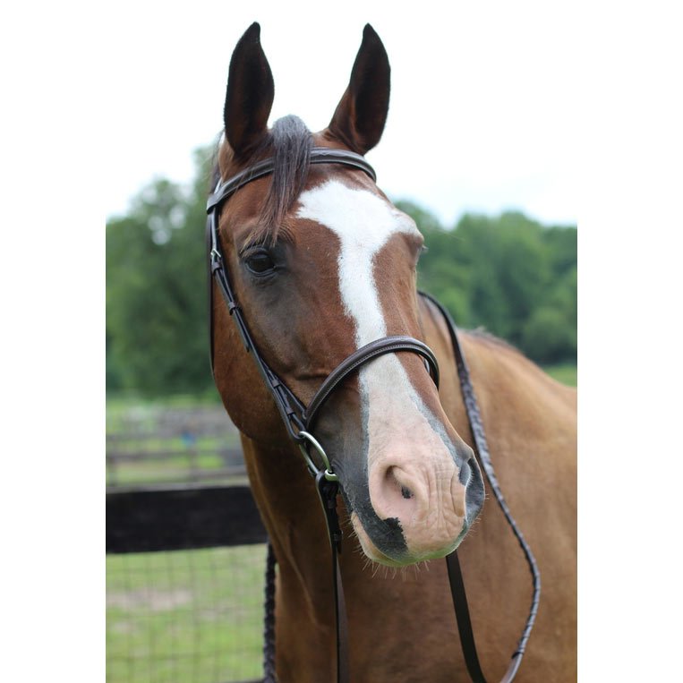Henri de Rivel Pro Fancy Raised Bridle With Laced Reins - Henri de Rivel - Equiluxe Tack