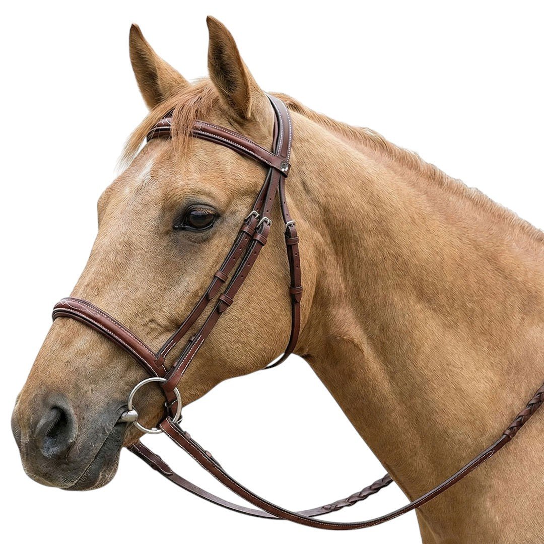 Henri de Rivel Pro Fancy Raised Comfort Crown Padded Bridle With Fancy Raised Reins - Henri de Rivel - Equiluxe Tack