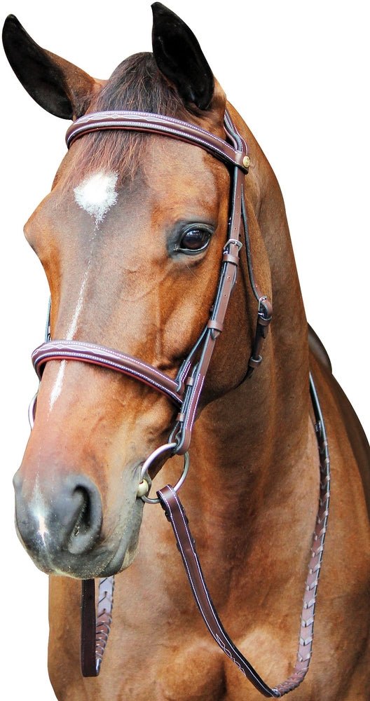 Henri de Rivel Pro Fancy Raised Comfort Crown Padded Bridle With Fancy Raised Reins - Henri de Rivel - Equiluxe Tack