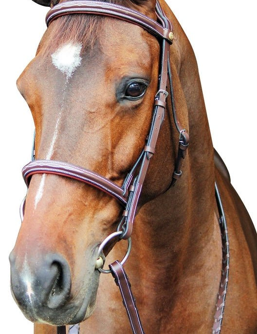 Henri de Rivel Pro Fancy Raised Comfort Crown Padded Bridle With Fancy Raised Reins - Equiluxe Tack