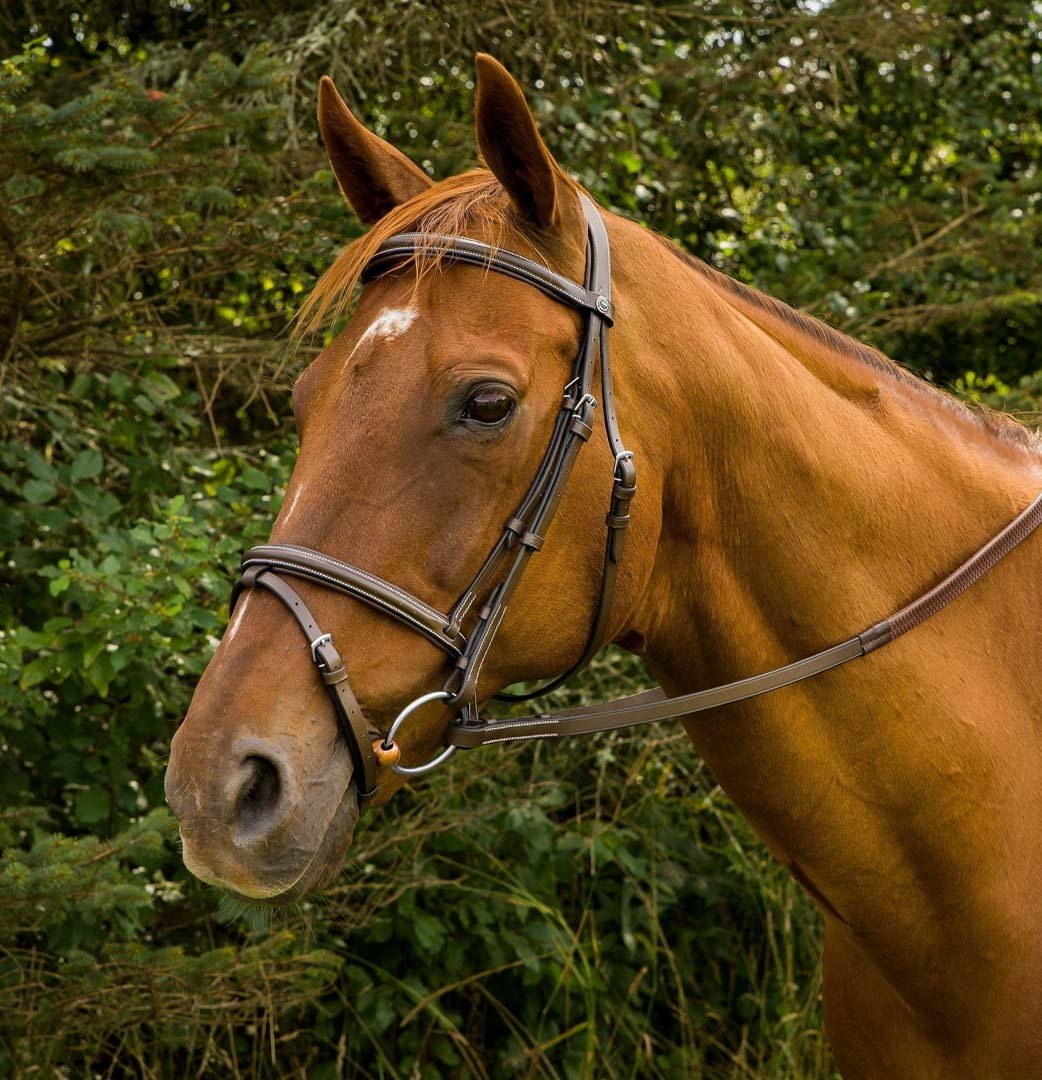 Henri de Rivel Pro Mono Crown Bridle with Flash and Rubber Reins - Henri de Rivel - Equiluxe Tack