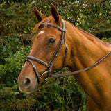 Henri de Rivel Pro Mono Crown Bridle with Flash and Rubber Reins - Henri de Rivel - Equiluxe Tack