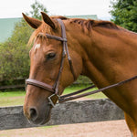 Henri de Rivel Pro Mono Crown Bridle with Padded Wide Noseband with Laced Reins - Henri de Rivel - Equiluxe Tack