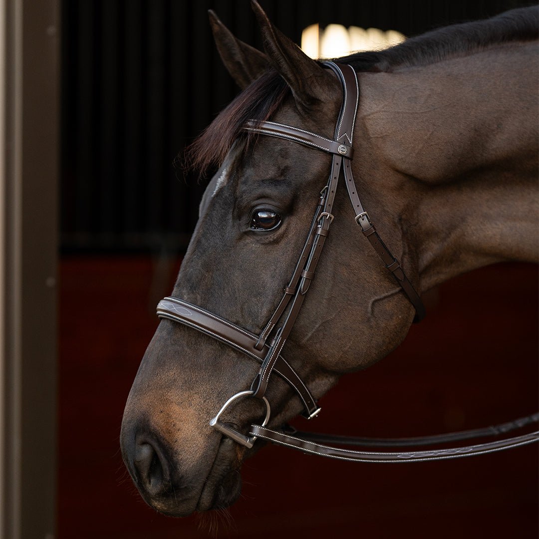Henri de Rivel Pro Mono Crown Bridle with Padded Wide Noseband with Laced Reins - Henri de Rivel - Equiluxe Tack
